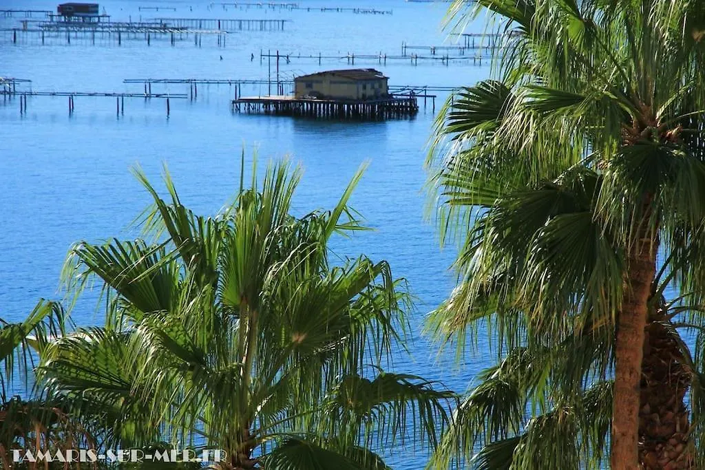 Oasis De Boheme, Plage A Pied Saint-Mandrier-sur-Mer France